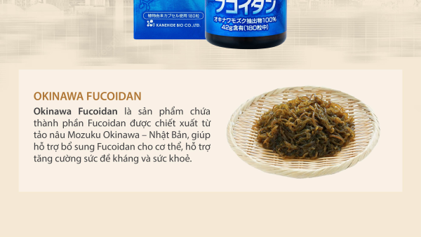 Viên uống hỗ trợ điều trị ung thư Nhật Fucoidan Okinawa Kanehide Bio 180 viên - Hình ảnh 3