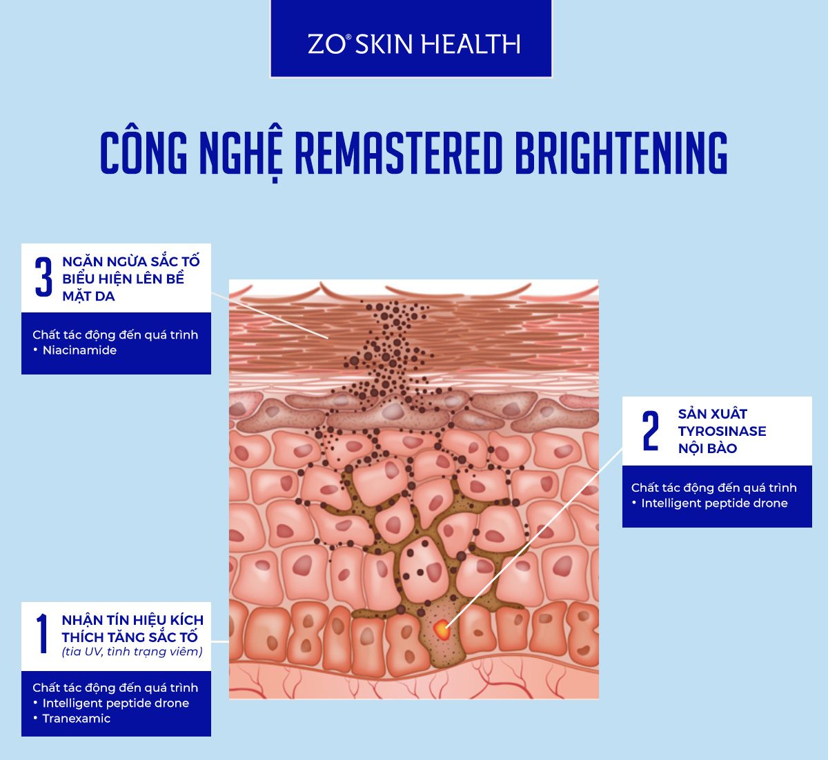 KEM DƯỠNG SÁNG DA ZO BRIGHTALIVE - Hình ảnh 4