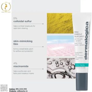 Thành phần nổi bật của Dermalogica Deep Breakout Liquid Patch
