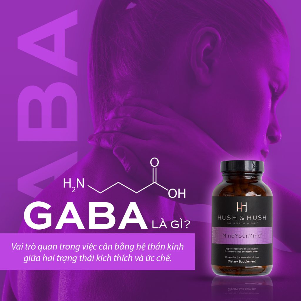 Thành phần GABA là gì?