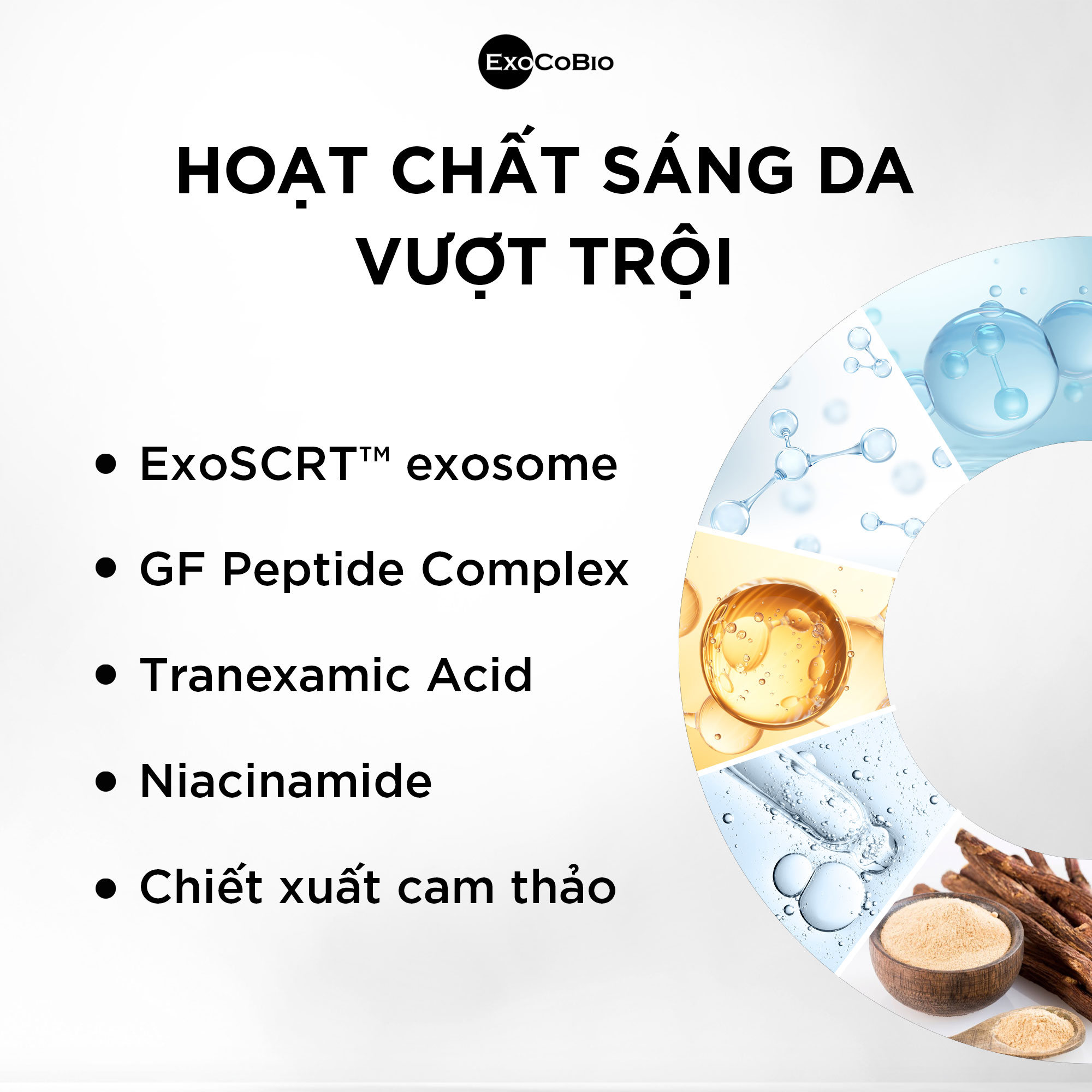 Set tinh chất Exocode Radiance - R cấy làm sáng da và điều trị nám (Set liệu trình 3 cặp) - Hình ảnh 3