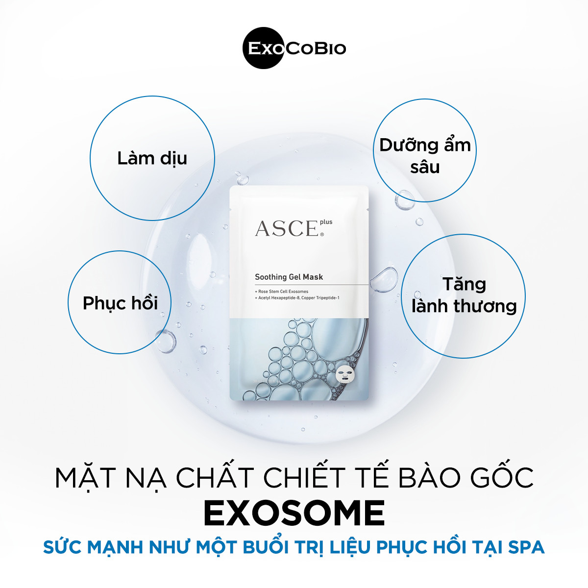 ASCE Plus Soothing Gel Mask - Mặt Nạ Phục Hồi Da Công Nghệ Exosome Giúp Giảm Da Nhạy Cảm/Viêm (Hộp 3 miếng) - Hình ảnh 5