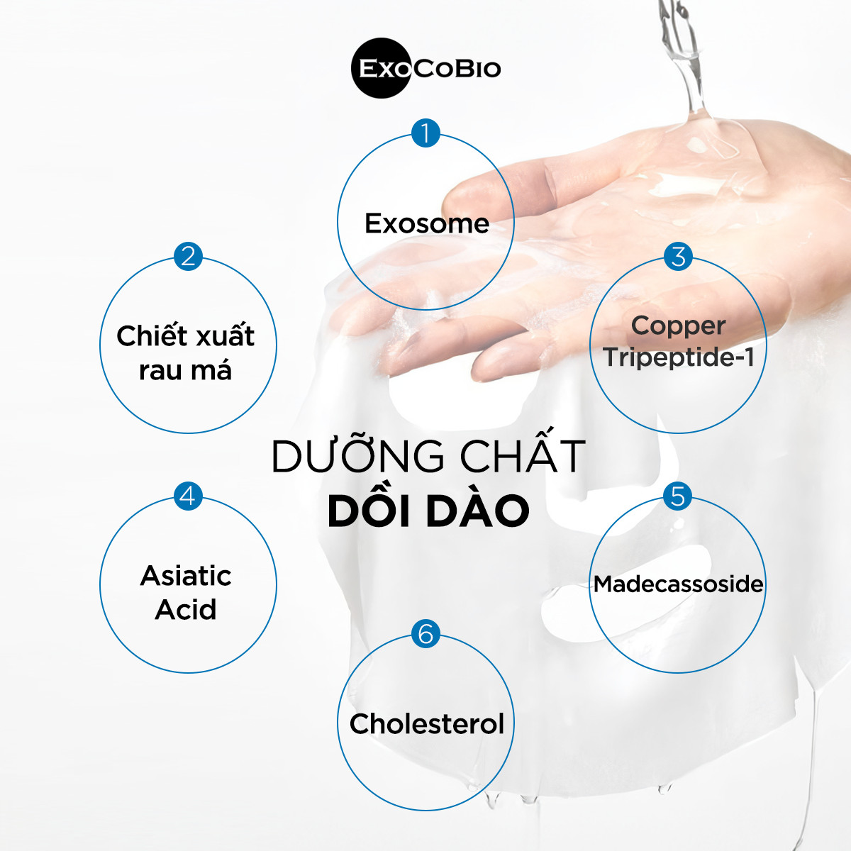 ASCE Plus Soothing Gel Mask - Mặt Nạ Phục Hồi Da Công Nghệ Exosome Giúp Giảm Da Nhạy Cảm/Viêm (Hộp 3 miếng) - Hình ảnh 6