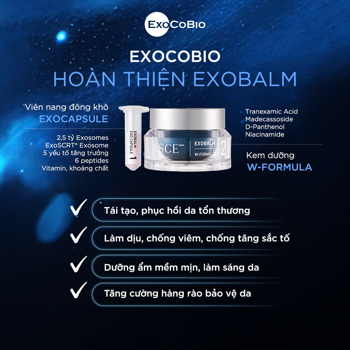 ASCE+ AXOBALM - Kit 2 Sản Phẩm Kem Dưỡng W-FORMULA & Bột Tái Tạo Da EXO CAPSULE Cấp Ẩm, Làm Dịu, Kháng Viêm & Giảm Thâm - Hình ảnh 4