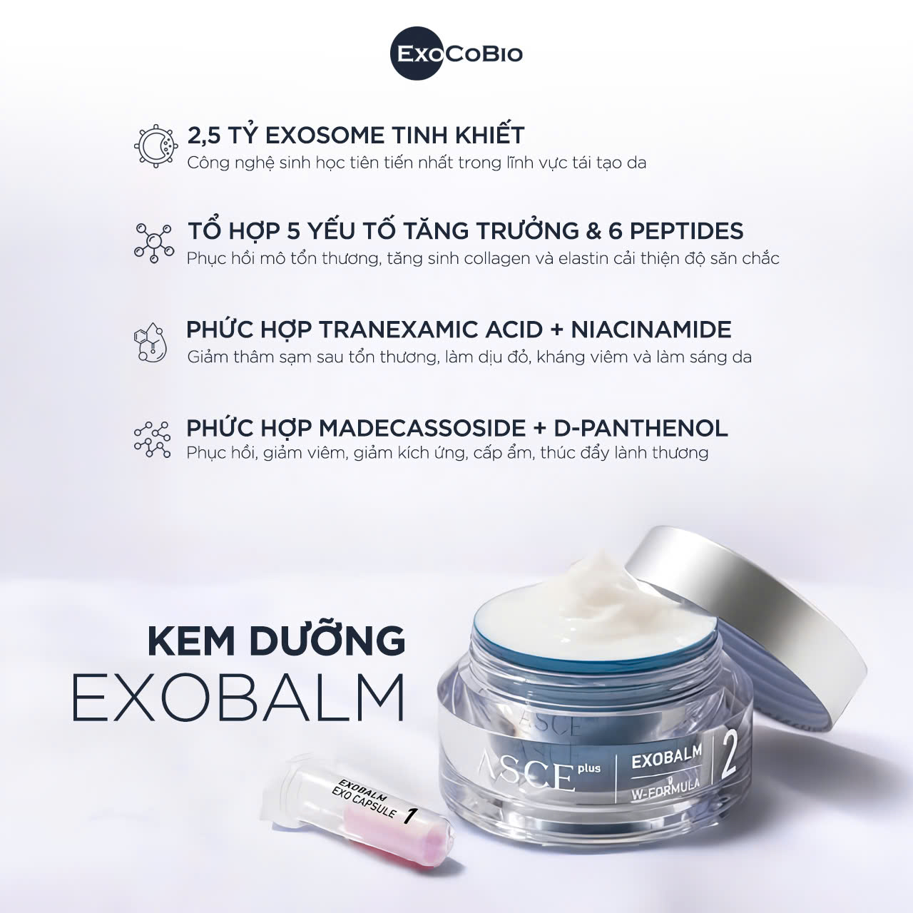 ASCE+ AXOBALM - Kit 2 Sản Phẩm Kem Dưỡng W-FORMULA & Bột Tái Tạo Da EXO CAPSULE Cấp Ẩm, Làm Dịu, Kháng Viêm & Giảm Thâm - Hình ảnh 3