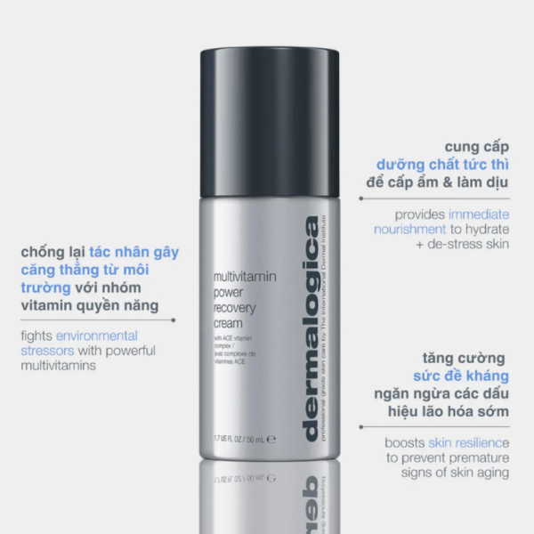 Kem dưỡng ẩm, giảm căng thẳng và sáng đều da Dermalogica Multivitamin Power Recovery Cream - Hình ảnh 2