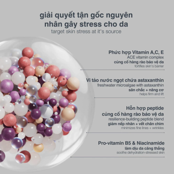 Kem dưỡng ẩm, giảm căng thẳng và sáng đều da Dermalogica Multivitamin Power Recovery Cream - Hình ảnh 7