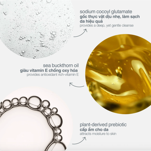 Sữa rửa mặt & tẩy trang 2 trong 1 Dermalogica Oil to Foam Total Cleanser  - Hình ảnh 3