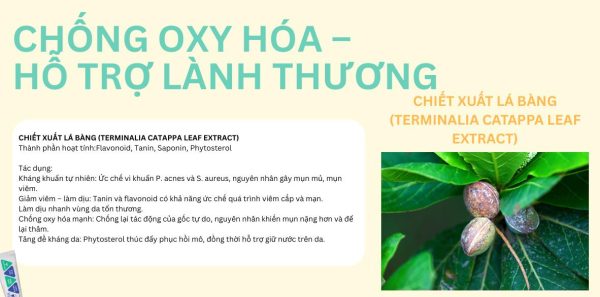 Gel bôi giảm mụn, kháng viêm, mờ thâm Trioderma Anti Acne Gel - Hình ảnh 3