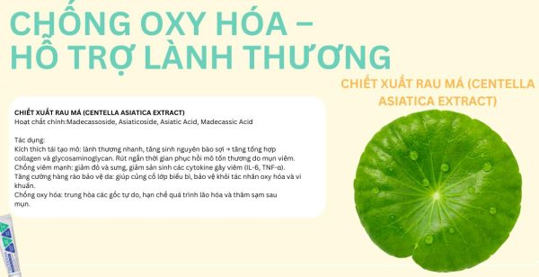 Gel bôi giảm mụn, kháng viêm, mờ thâm Trioderma Anti Acne Gel - Hình ảnh 4