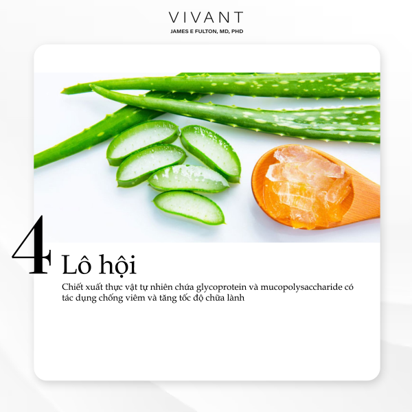 Lotion dưỡng ẩm, giảm kích ứng da Vivant Allantoin Sedating & Hydrating  - Hình ảnh 7