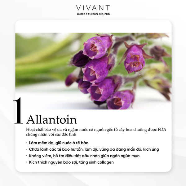 Lotion dưỡng ẩm, giảm kích ứng da Vivant Allantoin Sedating & Hydrating  - Hình ảnh 4