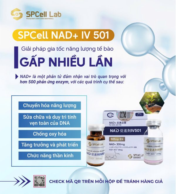 Dung dịch truyền tái tạo năng lượng tế bào, trẻ hóa làn da SPCell Lab NAD+ IV 501 - Hình ảnh 2
