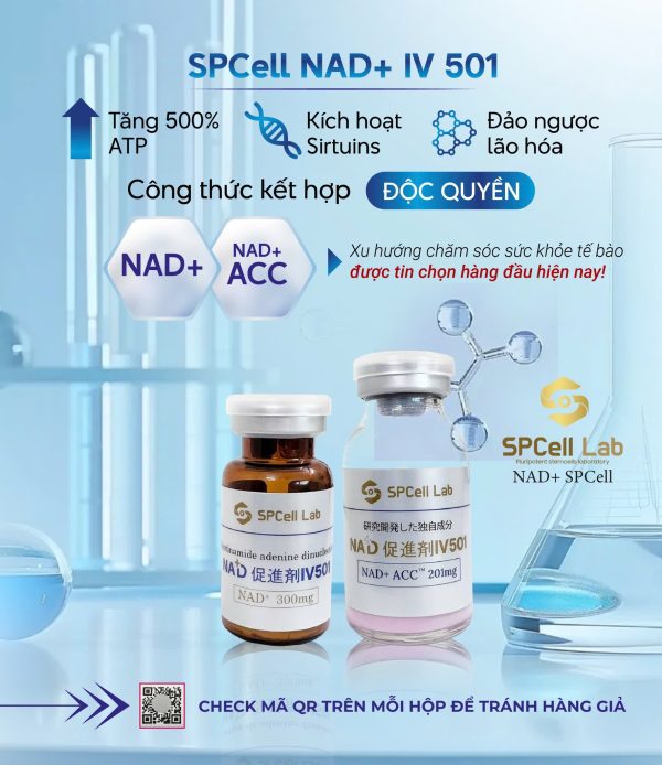 Dung dịch truyền tái tạo năng lượng tế bào, trẻ hóa làn da SPCell Lab NAD+ IV 501 - Hình ảnh 4