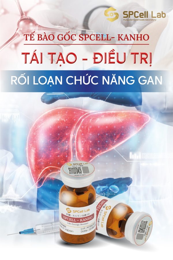 Tế bào gốc bảo vệ chức năng gan SPCell Lab SPCell-Kanho - Hình ảnh 4