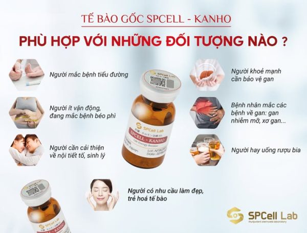 Tế bào gốc bảo vệ chức năng gan SPCell Lab SPCell-Kanho - Hình ảnh 6