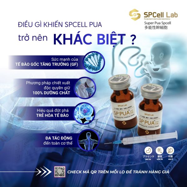 Tế bào gốc trẻ hóa làn da sáng mịn, cải thiện vóc dáng khỏe đẹp SPCell Lab PUA 0.5G - Hình ảnh 2