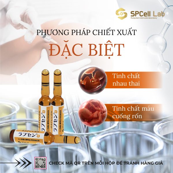 Tế bào gốc trẻ hóa từ bên trong, da sáng khỏe tươi tắn SPCell Lab RAPUCEN - Hình ảnh 3