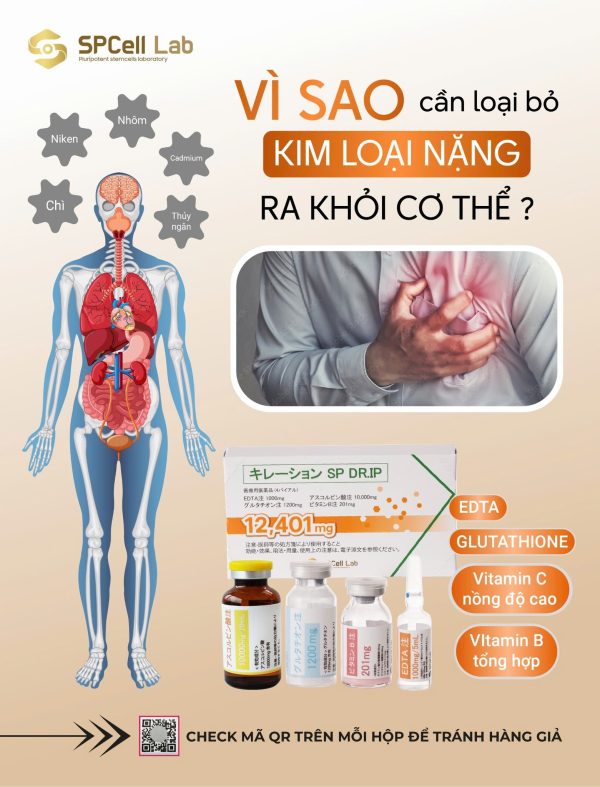 Tinh chất truyền thải độc kim loại nặng, thanh lọc cơ thể SPCell Lab SP DR.IP 12.401mg - Hình ảnh 6