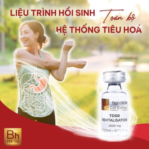 Tế bào gốc cải thiện hệ thống tiêu hóa Bhmed TDSR (10 in 1) - Hình ảnh 3