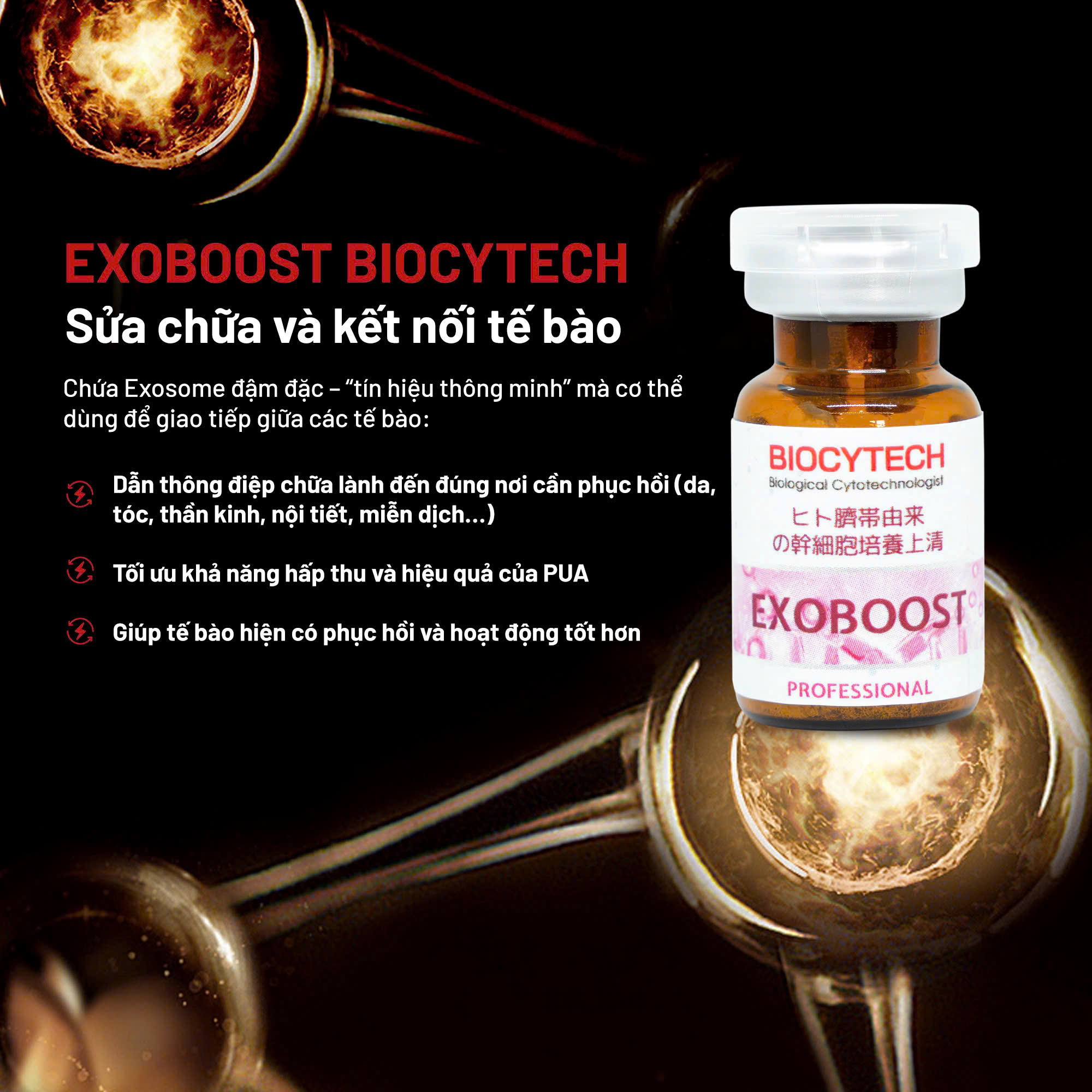Liệu pháp tế bào phục hồi, trẻ hóa da Biocytech EXOBOOST - Hình ảnh 3