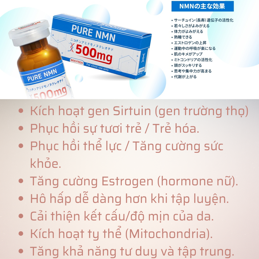 Liệu pháp tế bào hỗ trợ chống lão hóa, phục hồi cơ thể Biocytech PURE NMN 500mg - Hình ảnh 3