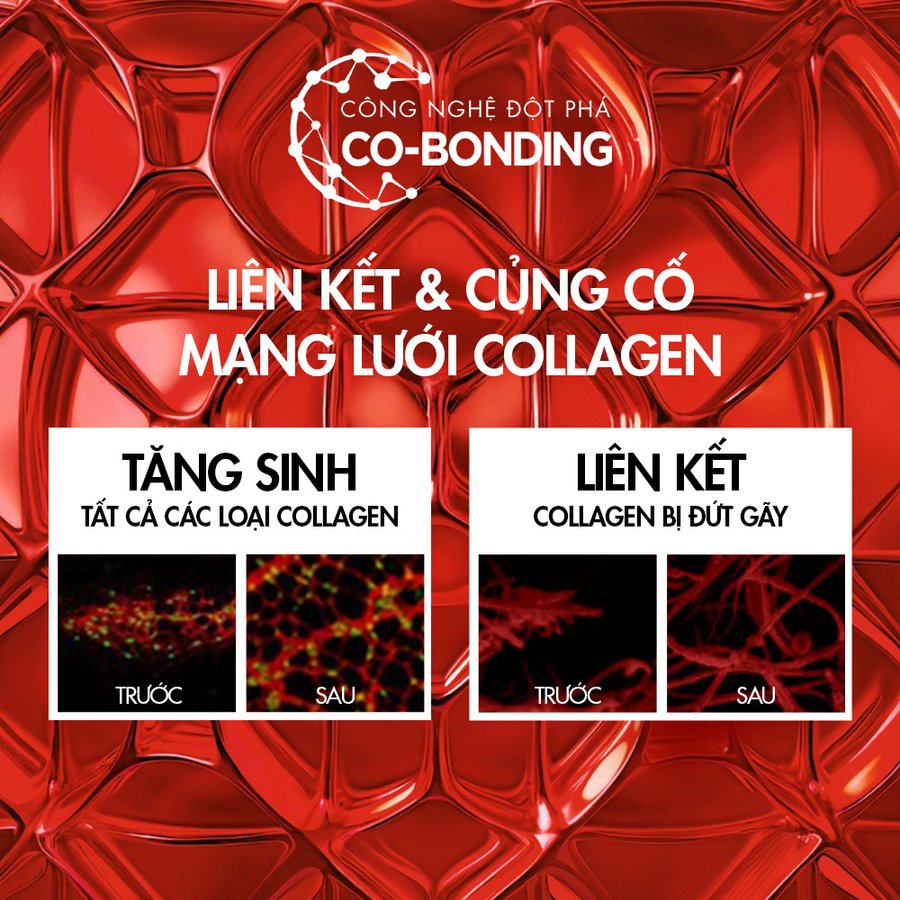 Kem dưỡng đêm căng mướt da Vichy Liftactiv Collagen Specialist 16 Night - Hình ảnh 3