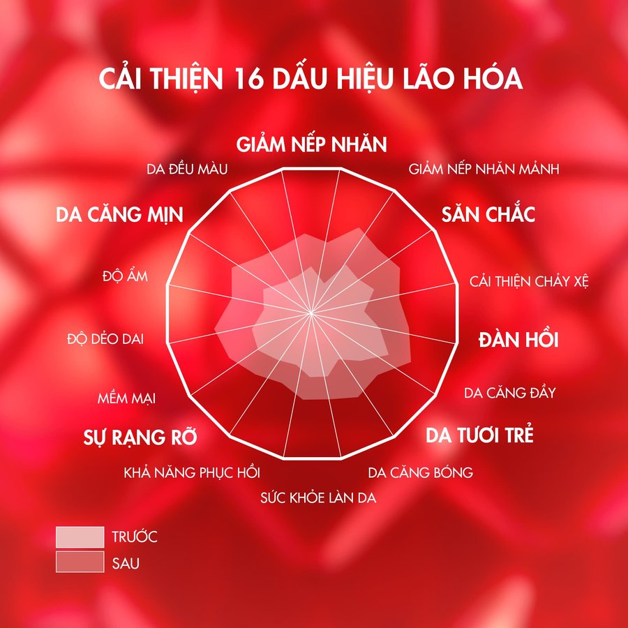 Kem dưỡng ngày giảm lão hóa da Vichy Liftactiv Collagen Specialist 16 Day - Hình ảnh 4