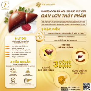 Thành phần viên uống Liver Hydrolyzate Plus
