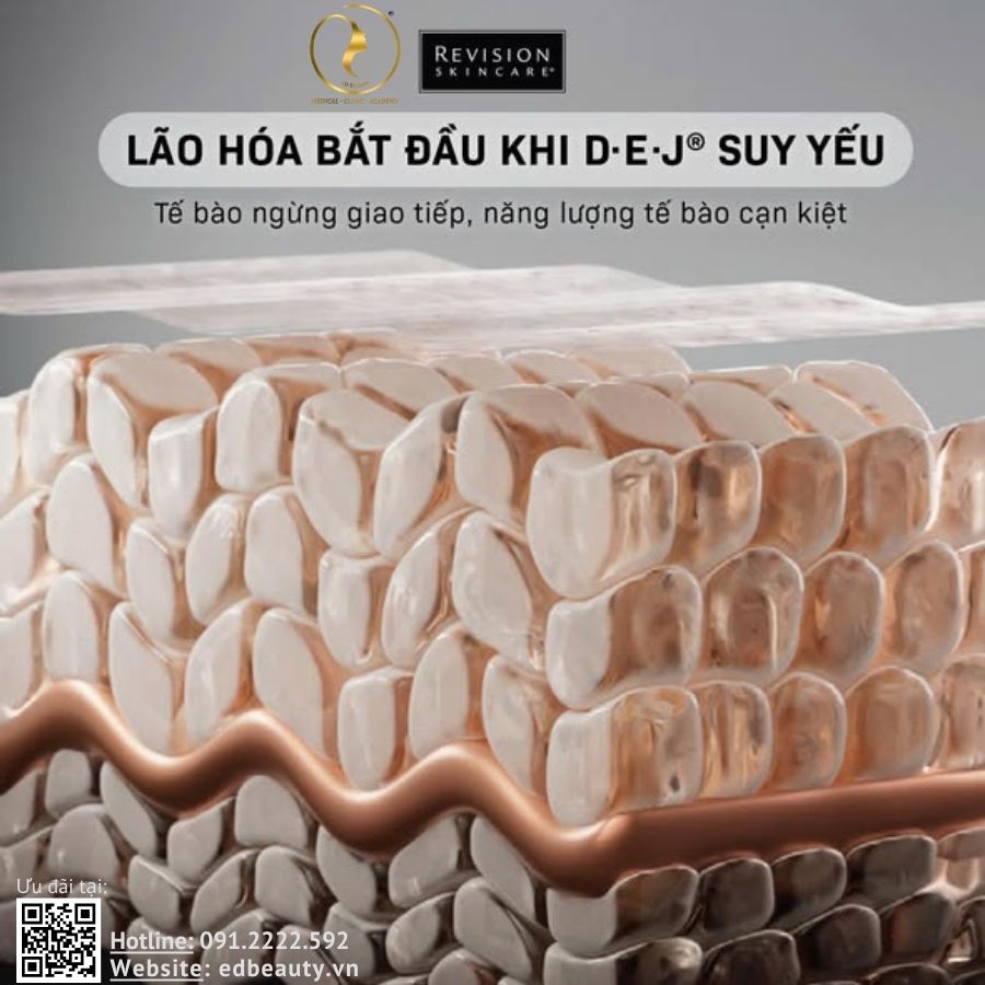 Vì sao Revision Skincare hướng đến màng đáy D.E.J®