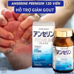 Viên uống hỗ trợ kiểm soát acid uric, gout Nichiei Bussan Anserine Premium - Ảnh 5