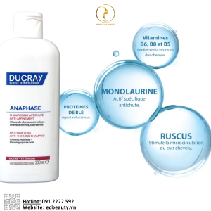 Thành phần dầu gội Anaphase Shampooing Antichute Anti-Affinement