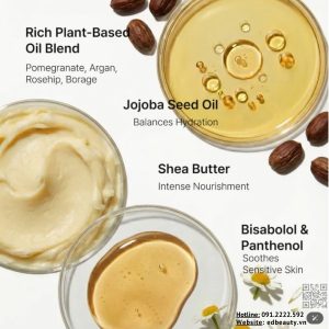 Thành phần kem dưỡng Rejuran Nutritive