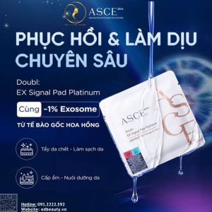 Miếng dưỡng phục hồi da ASCE Plus Doubl EX Signal Pad Platinum