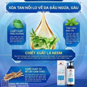 Thành phần dầu gội Anti-Dandruff Shampoo