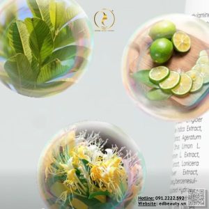 Thành phần kem xả Mediworld Nutritive Herbal